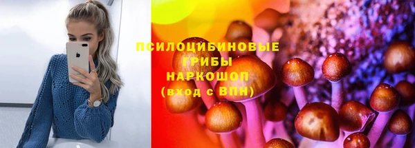 крисы Богородицк