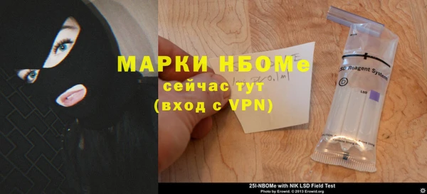 крисы Богородицк