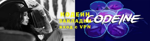 крисы Богородицк