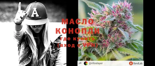 крисы Богородицк