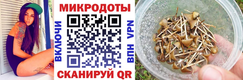 Купить  Калтан  Псилоцибиновые грибы прущие грибы 